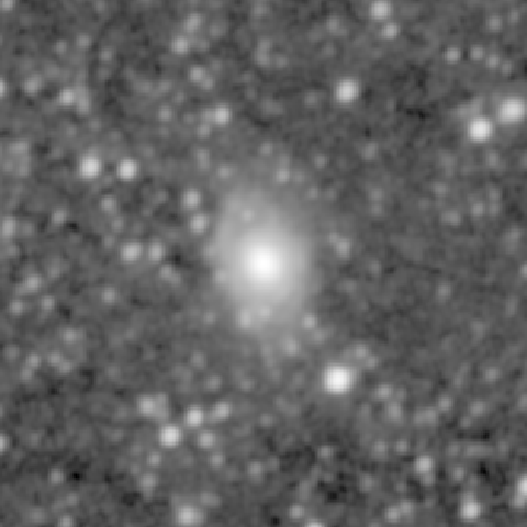 Survey preview for NGC 1137
