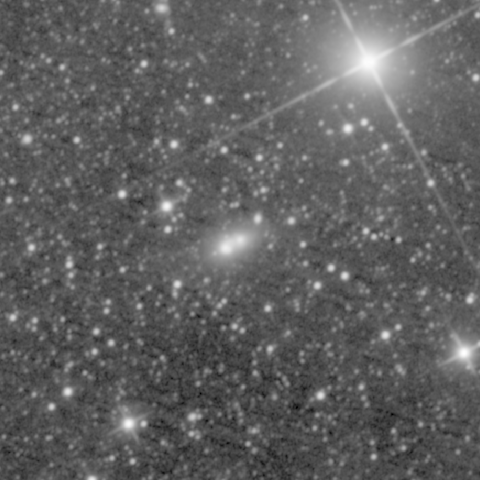 Survey preview for NGC 1141