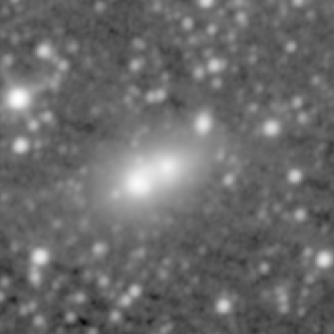 Survey preview for NGC 1143