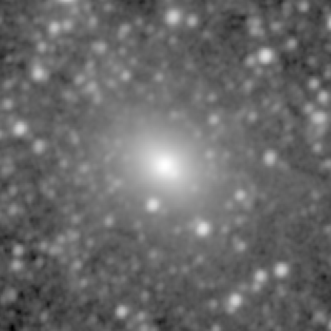 Survey preview for NGC 1153