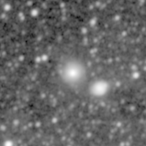 Survey preview for NGC 1155