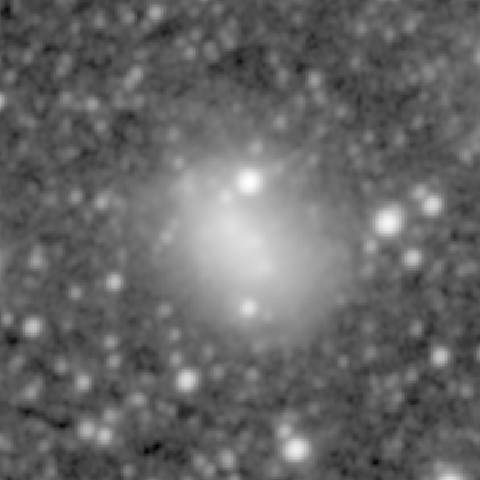 Survey preview for NGC 1156