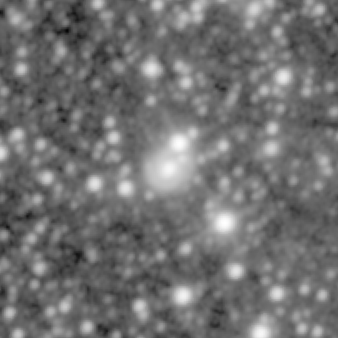 Survey preview for NGC 1164
