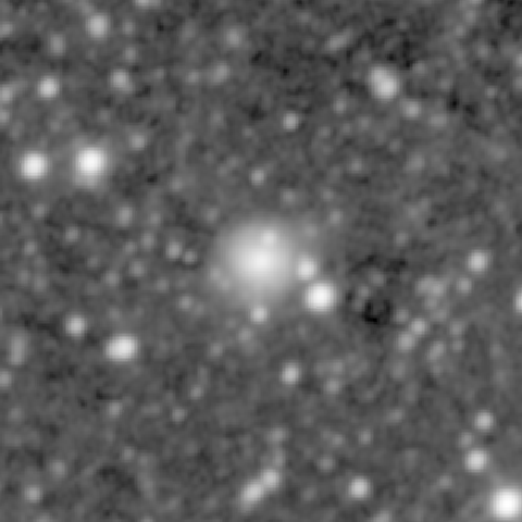 Survey preview for NGC 1166