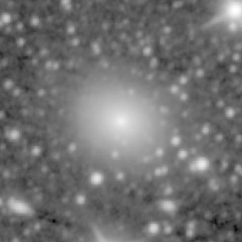Survey preview for NGC 1167