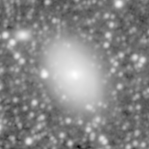 Survey preview for NGC 1169