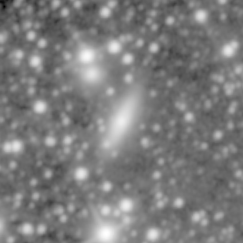 Survey preview for NGC 1175