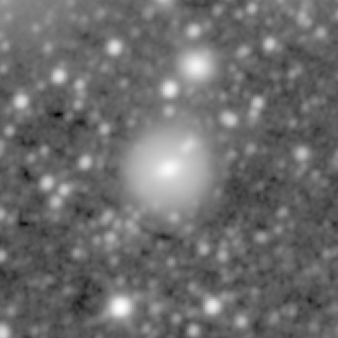 Survey preview for NGC 1196