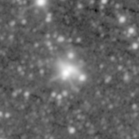 Survey preview for NGC 1204