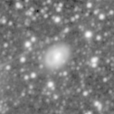 Survey preview for NGC 1207