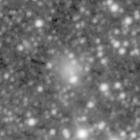 Survey preview for NGC 1213