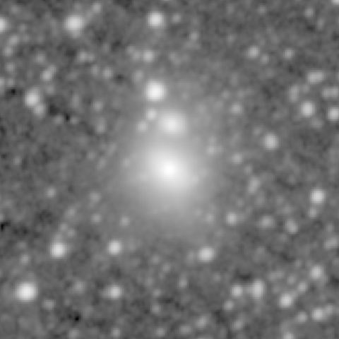 Survey preview for NGC 1217