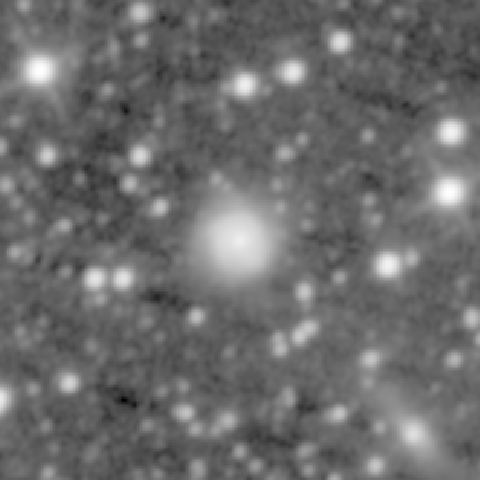Survey preview for NGC 1219