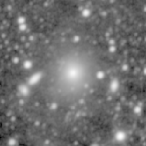 Survey preview for NGC 1223