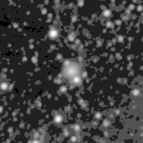 Survey preview for NGC 1231