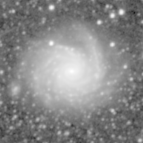 Survey preview for NGC 1232