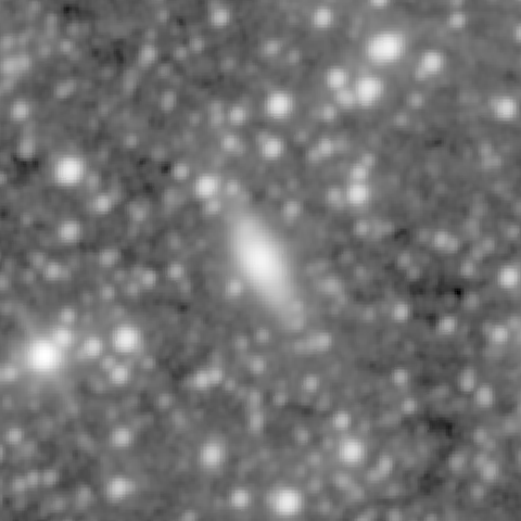 Survey preview for NGC 1233