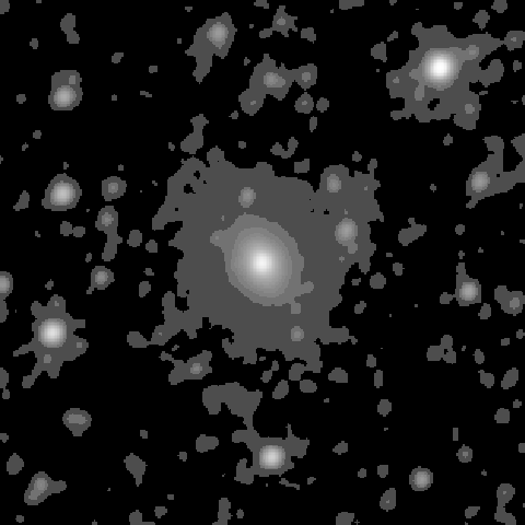 Survey preview for NGC 1236