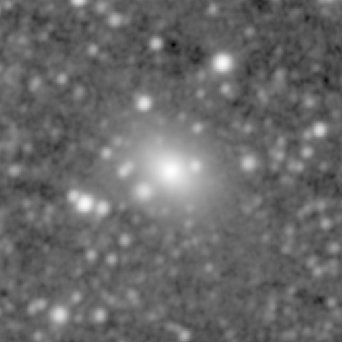 Survey preview for NGC 1239
