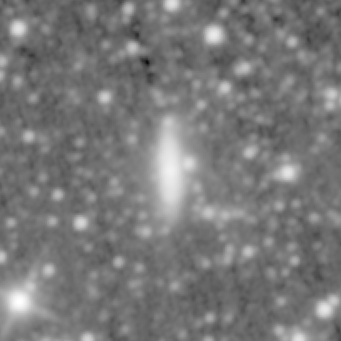 Survey preview for NGC 1244