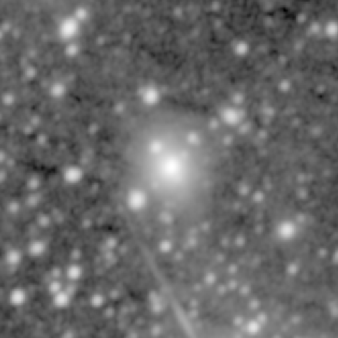 Survey preview for NGC 1254