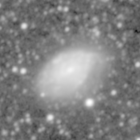 Survey preview for NGC 1255