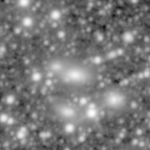 Survey preview for NGC 1260