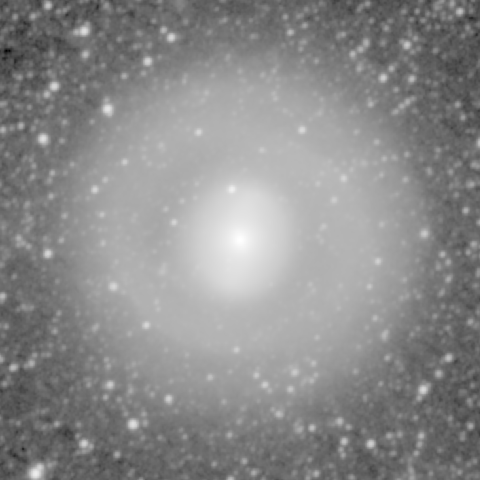 Survey preview for NGC 1269