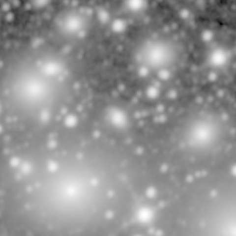 Survey preview for NGC 1274