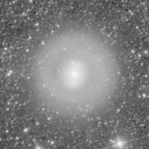 Survey preview for NGC 1291