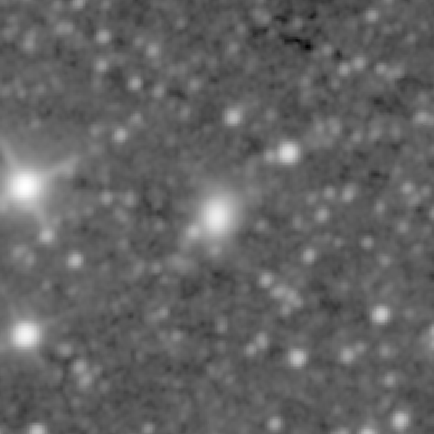 Survey preview for NGC 1295