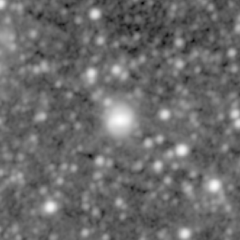 Survey preview for NGC 1296