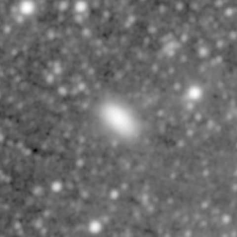 Survey preview for NGC 1299