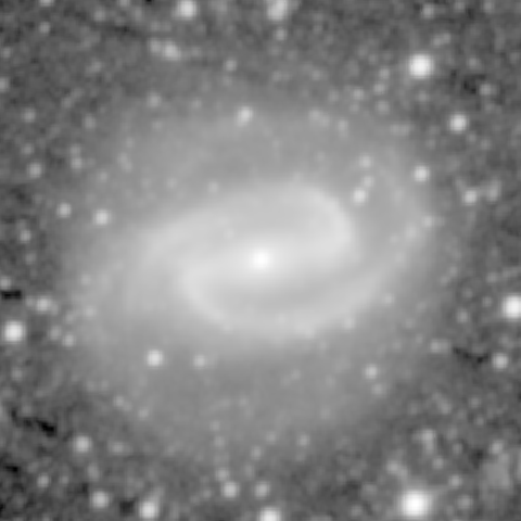 Survey preview for NGC 1300
