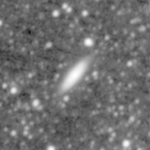 Survey preview for NGC 1301