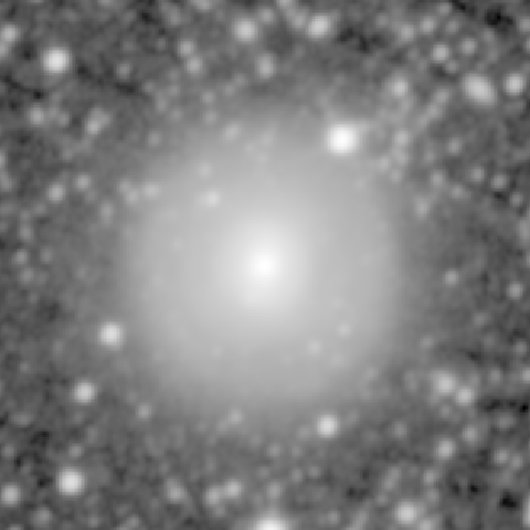 Survey preview for NGC 1302