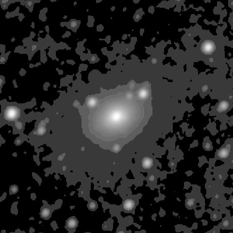 Survey preview for NGC 1305
