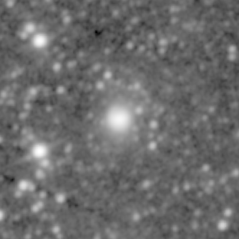 Survey preview for NGC 1306