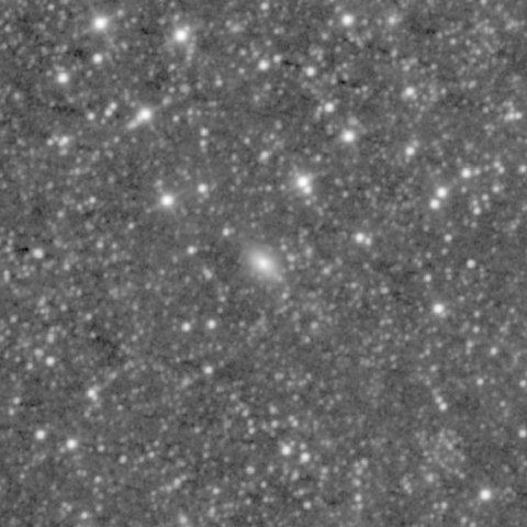 Survey preview for NGC 1307