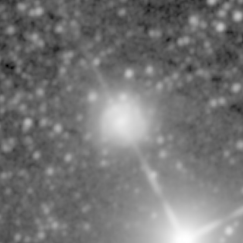 Survey preview for NGC 1309