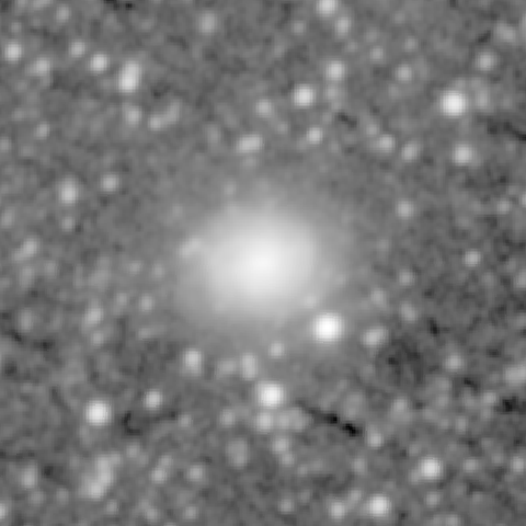Survey preview for NGC 1310
