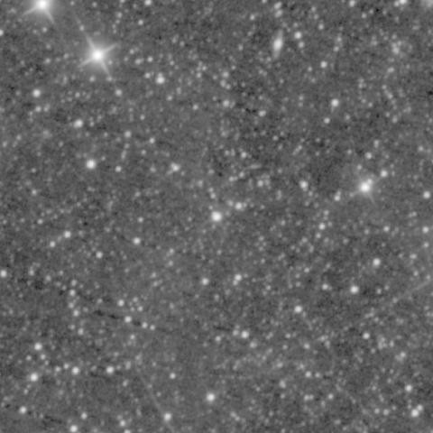 Survey preview for NGC 1312