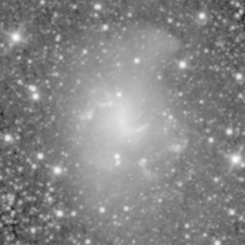 Survey preview for NGC 1313