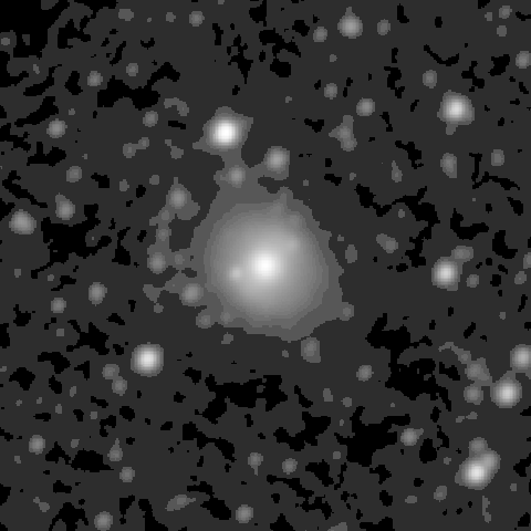 Survey preview for NGC 1315