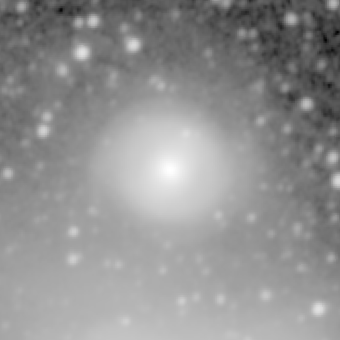 Survey preview for NGC 1317