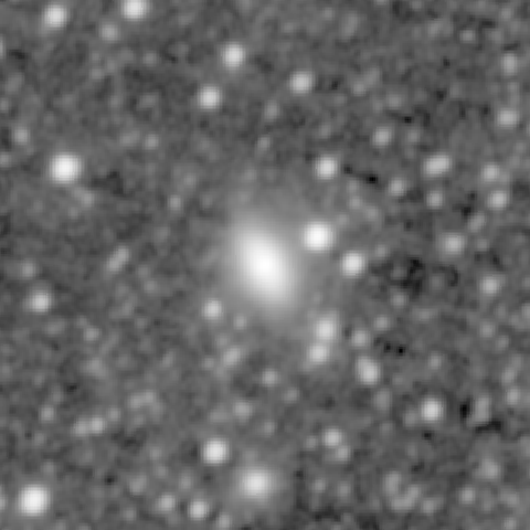 Survey preview for NGC 1319