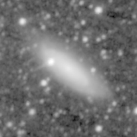 Survey preview for NGC 1325
