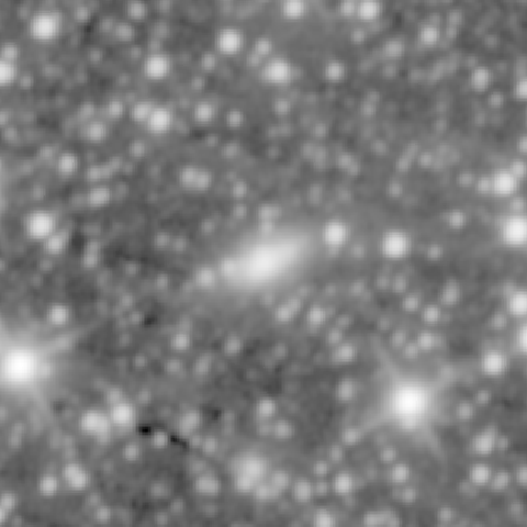Survey preview for NGC 1334