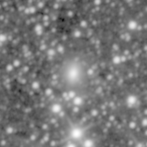 Survey preview for NGC 1335