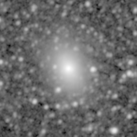 Survey preview for NGC 1336